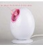 220V Facial Face Thermal Spa Steamer Pores Steam Sparyer Skin Sauna Machine