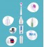 Electronic Toothbrush