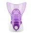 Facial Steamer Skin Care Sprayer 110-220V