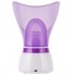 Facial Steamer Skin Care Sprayer 110-220V