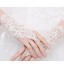 Wedding Dress Gloves Lace Fingerless Glove