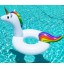 Inflatable Pool Float -120 M