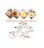 Egg Fried Ring Mould Kitchen Cooking Tools Mold