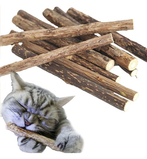 Cat Snacks Sticks CleanTeeth Natural Catnip 2Pcs