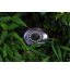 12 LED Buried Solar Power Light Cool White