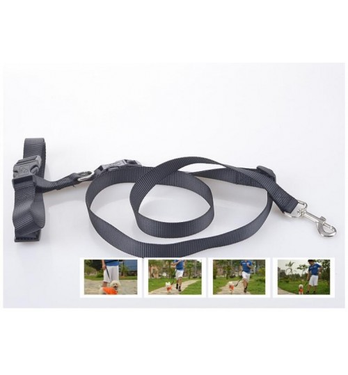 Dog lead Dog Leash Running Leash