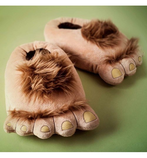 Furry Adventure Slippers