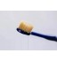 Wide-head Fully Covered Toothbrush for Adult Beinoen
