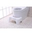 Strong Plastic Bathroom Toilet Potty Stool