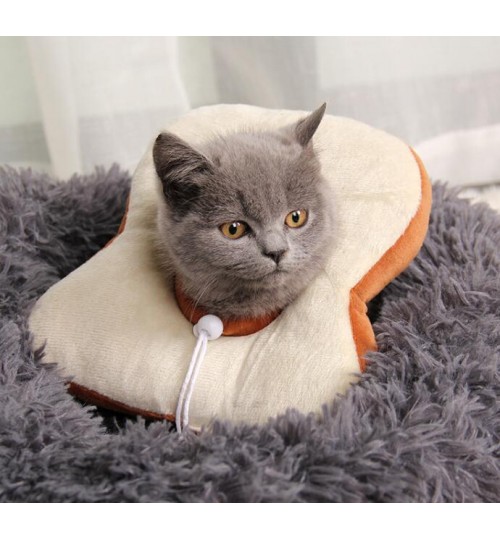 Cat clearance cone nz