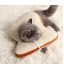 Pet Dogs Cats Collar Headgear