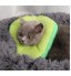 Pet Dogs Cats Collar Headgear