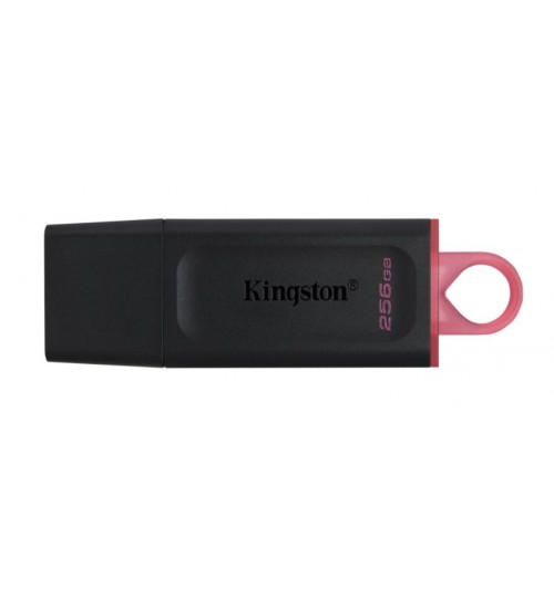 KINGSTON DATA TRAVELER EXODIA- DTX 256GB USB 3.2 FLASH DRIVE