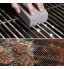 BBQ Grill Cleaning Brick Block