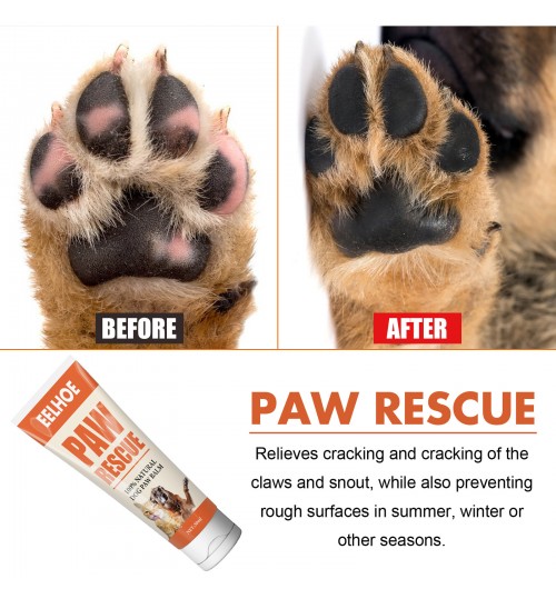 Paw Balm for Dogs and Cats