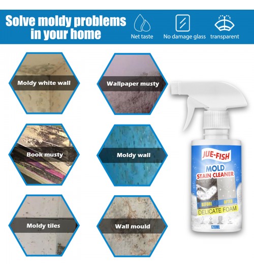 Mould Cleaning Spray Foam Mold Remover