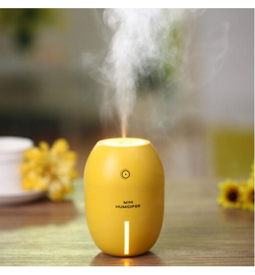 Humidifier