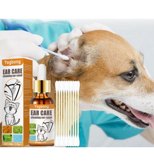 Swab Cleaning Ear Canal for Pets