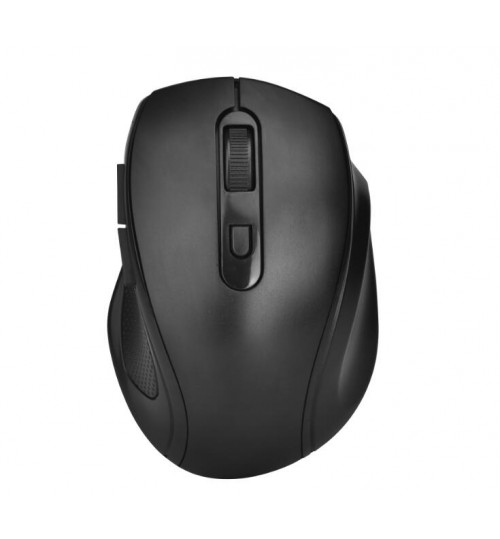 Wireless Mouse 2.4G GINWFEIY W300