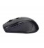 Wireless Mouse 2.4G GINWFEIY W300