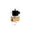 Water Solenoid Valve 24V