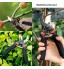 Garden Tools Pruning Shears