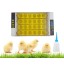 Automatic Egg Incubator