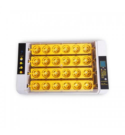 Automatic Egg Incubator