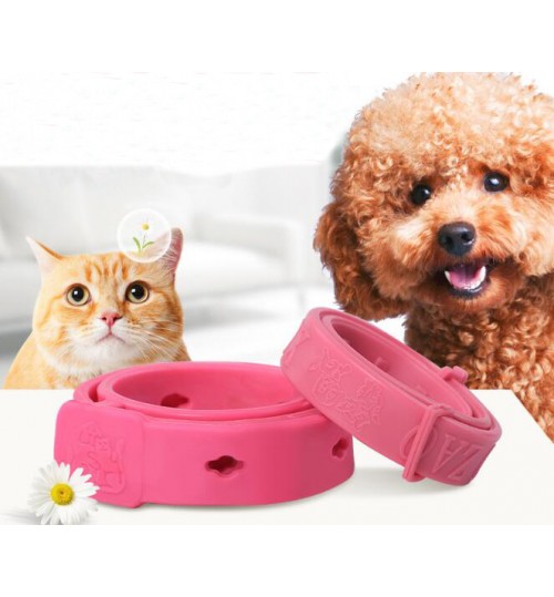 Adjustable Pet Anti Flea Tick Neck Collar Dog Cat Kitten Months Protection