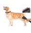 Pet Grooming Vacuum Attachment Kit