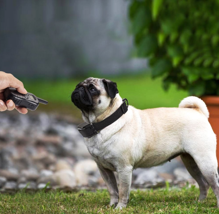 Pet Dog Training Collar Wirless Boundary containment collar Pet Dog Training Collar Wirless Boundary containment collar