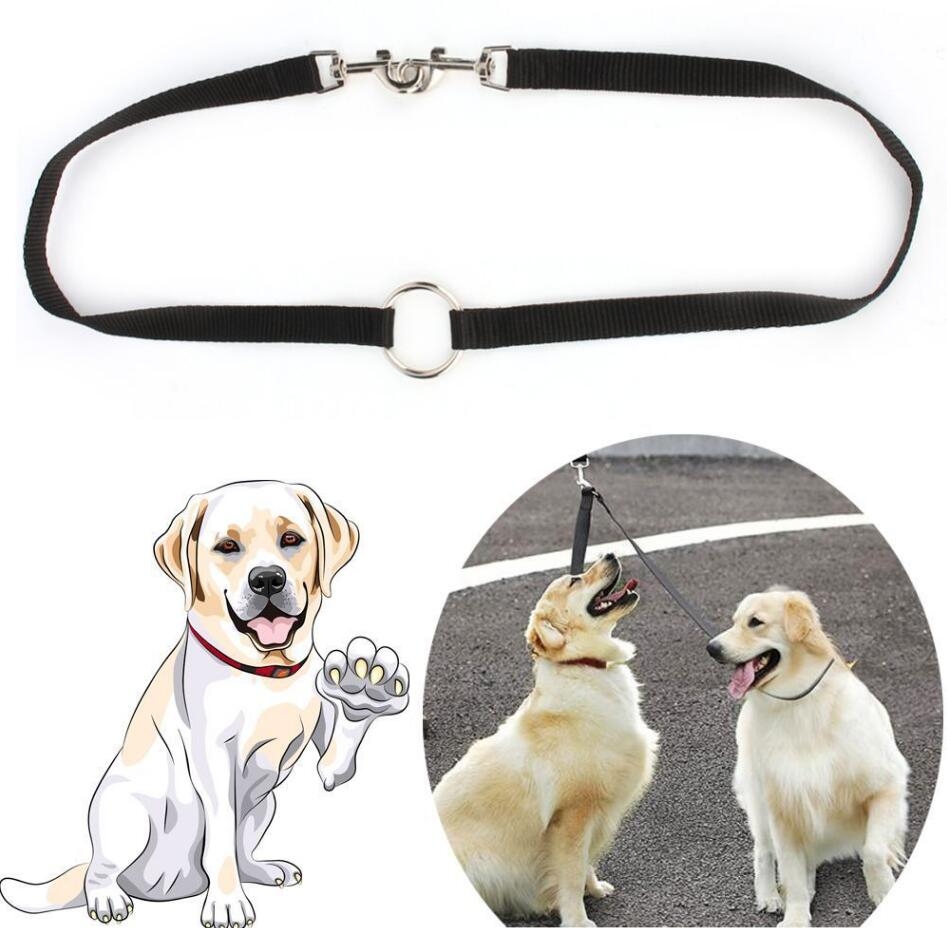 Double Lead Leash for Dogs Double Lead Leash for Dogs