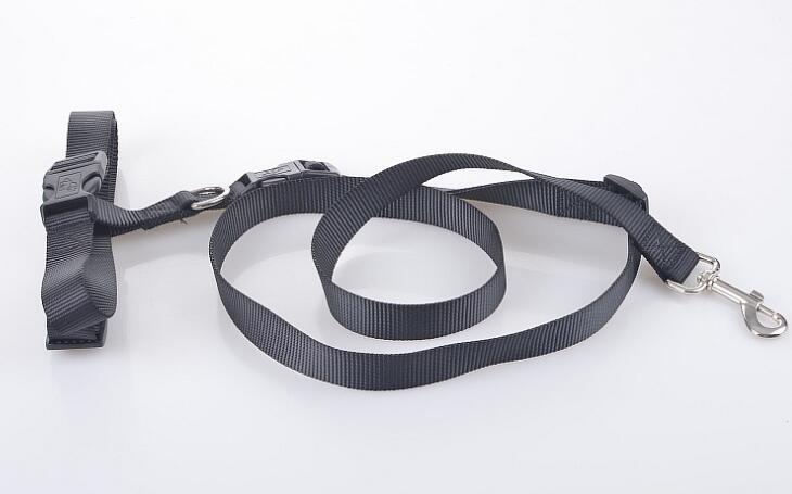 Dog lead Dog Leash Running Leash Dog lead Dog Leash Running Leash