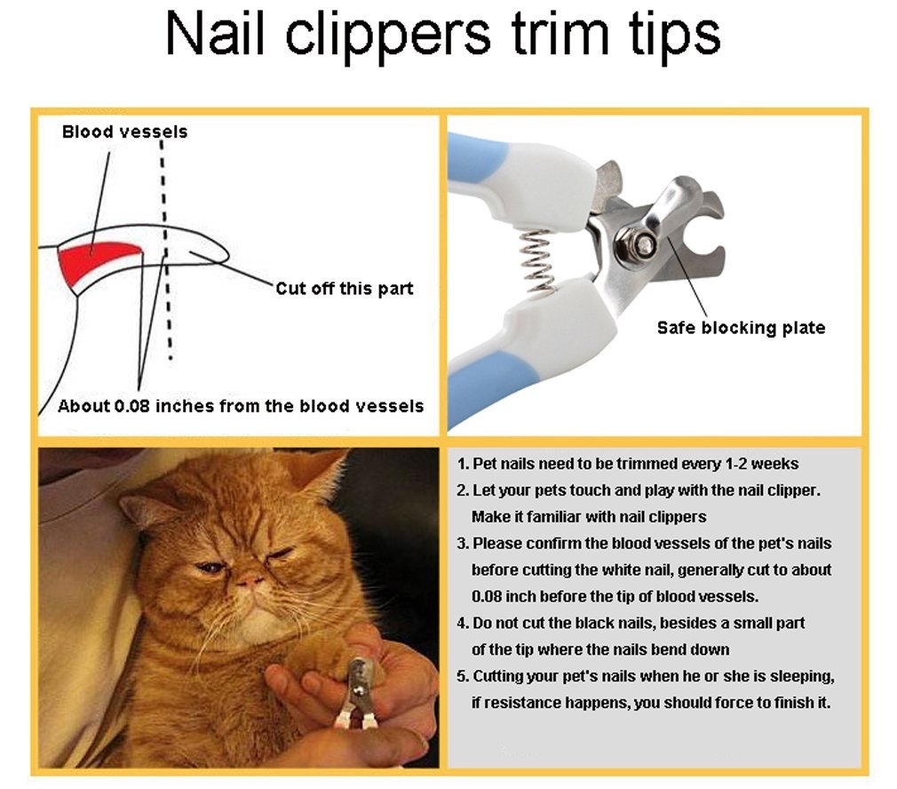 Pet Nail Clipper and Trimmer Pet Nail Clipper and Trimmer