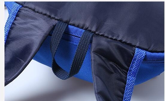 Back Pack Bag Bike Bag