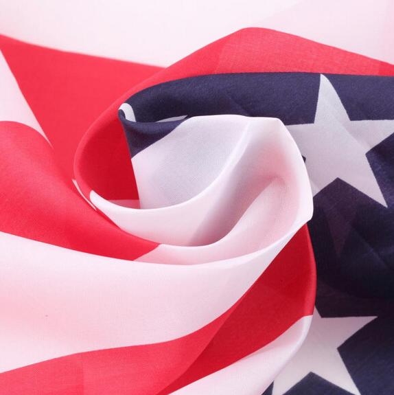 United States of America ( USA ) Flag