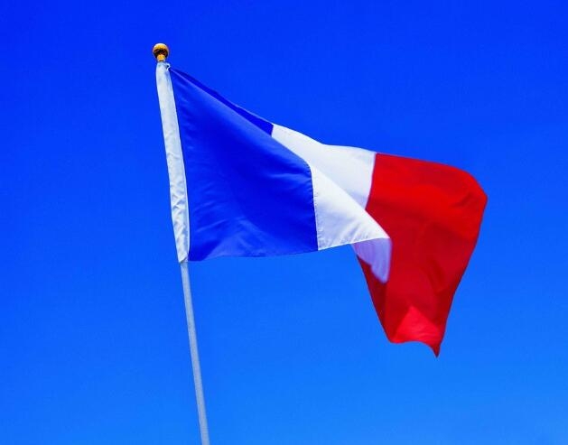 France Flag France national flag
