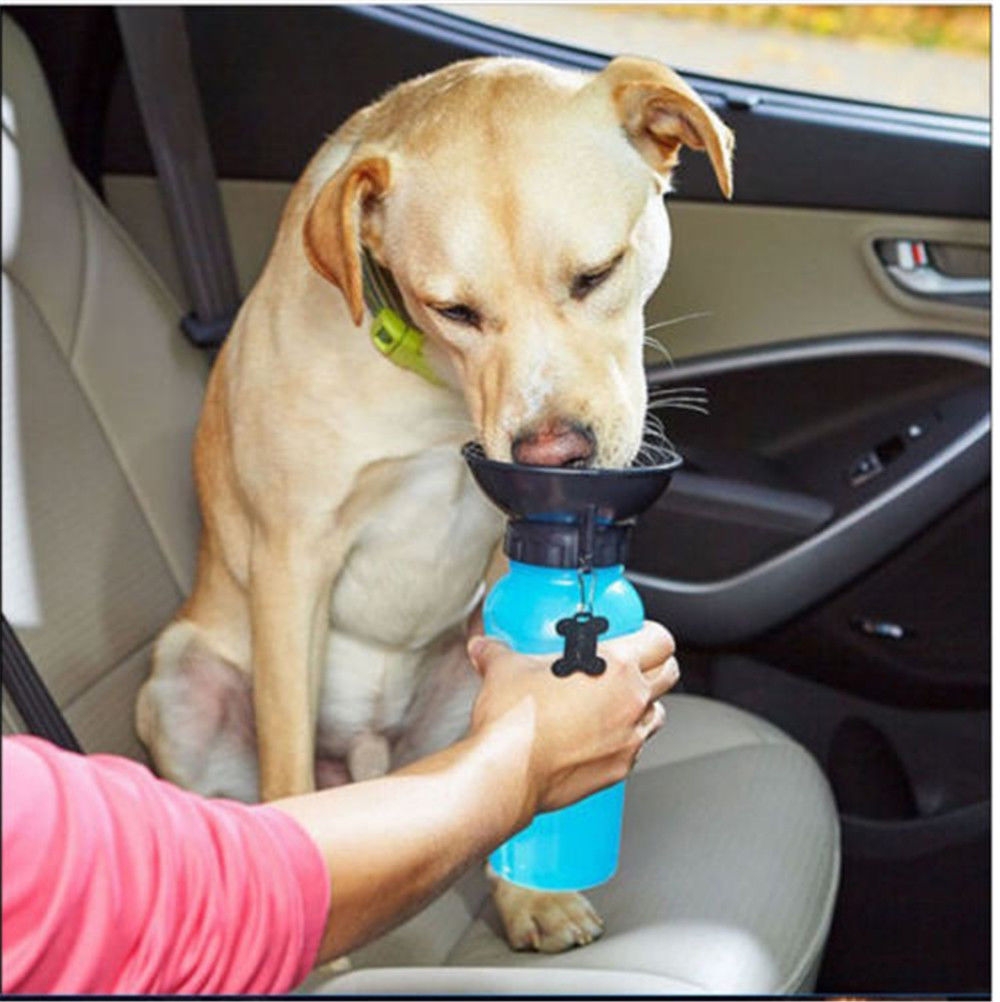Auto Dog Mug Puppy Water Bottle Portable Travel Walking Hiking