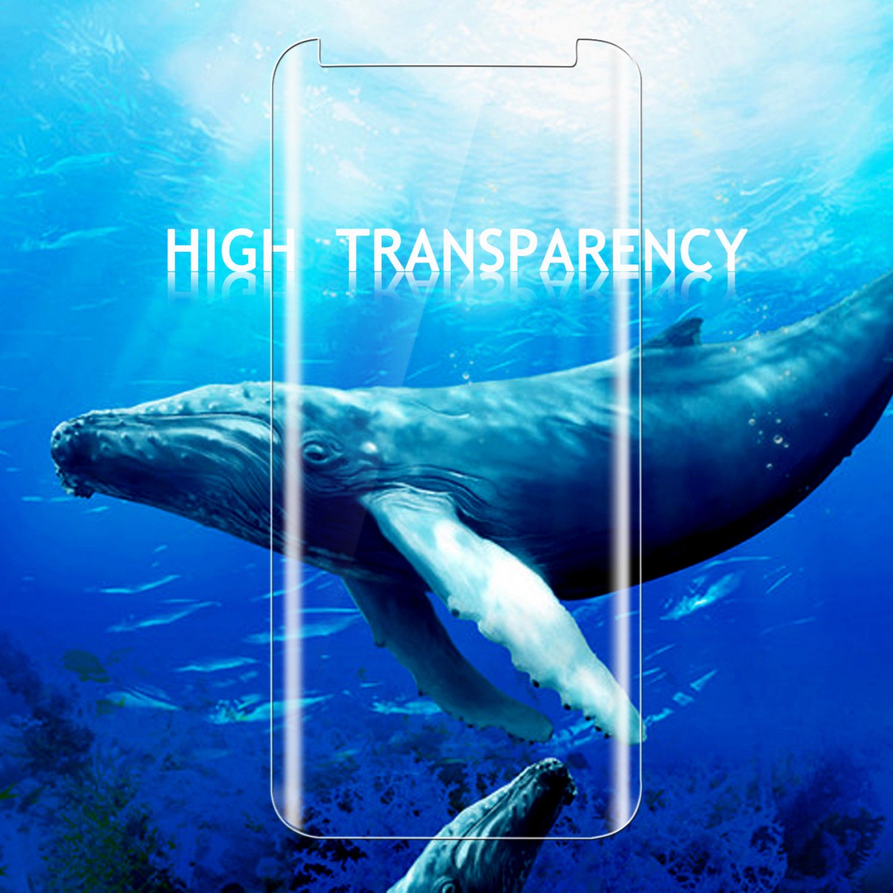 Galaxy S9 PLUS Screen covered Tempered Glass Screen Protector