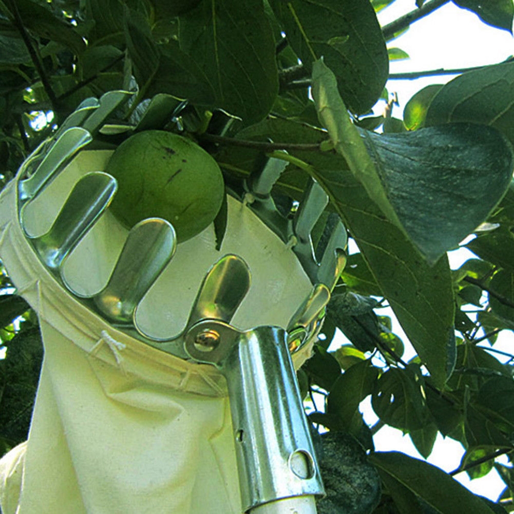 Outdoor Fruit Picker Garden Picking Tool Bag