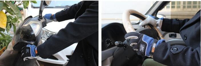 Ski Gloves