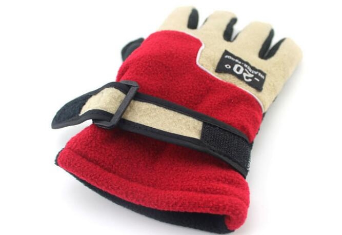 Ski Gloves Ski Gloves