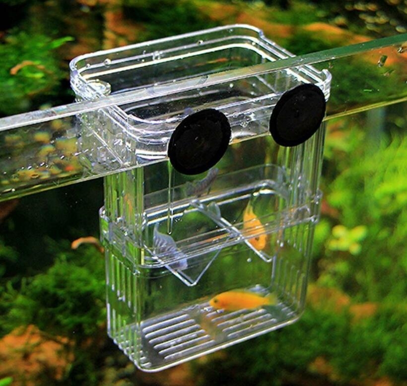 Floating Fish Tank 3 in1 Aquatic Fish Breeding Tank Incubator