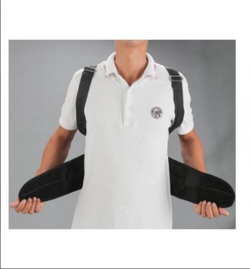 Back Support Lumbar Posture Corrector Back Belt-L Back Support Lumbar Posture Corrector Back Belt-L