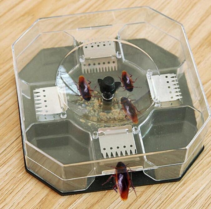 Cockroach Bait Box