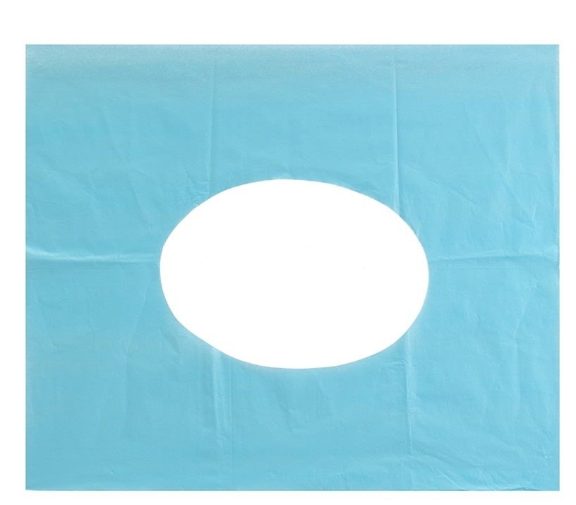 10Pcs Disposable Toilet Seat Pads