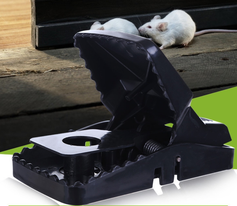 Mouse Trap Reusable Mouse Trap Reusable