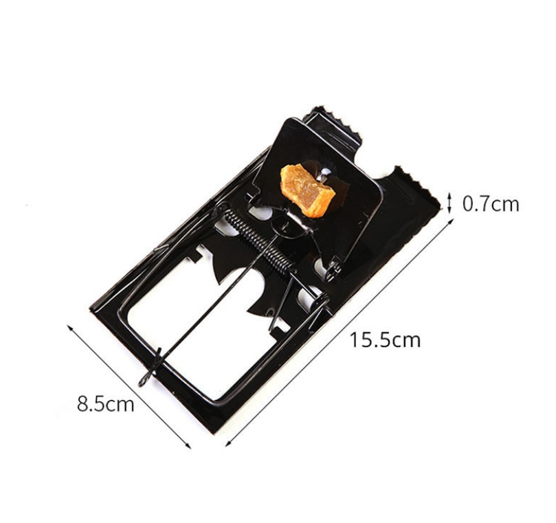 Mouse Trap Reusable