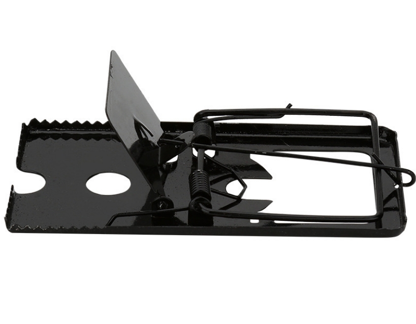 Mouse Trap Reusable