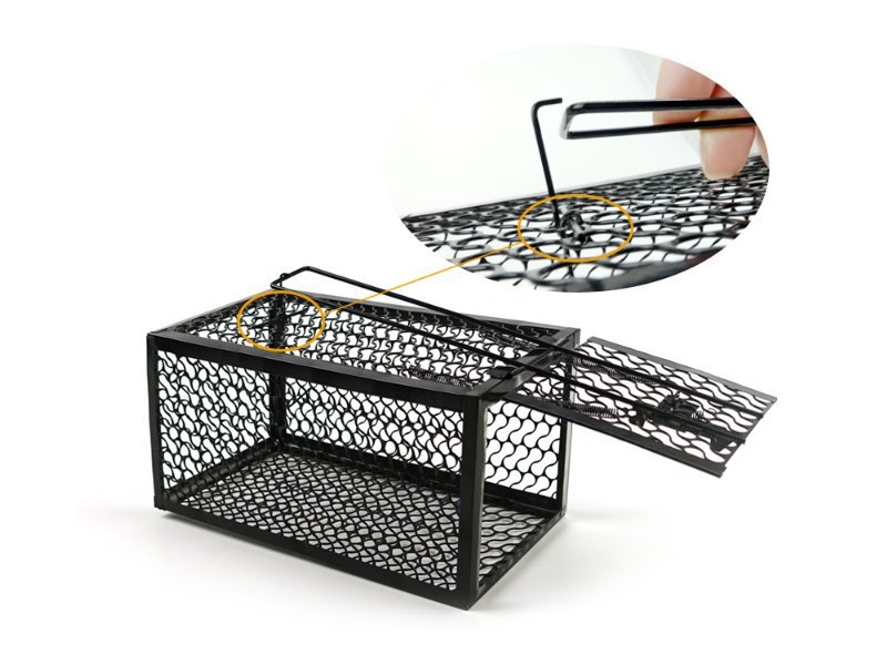 Mouse Trap Cage